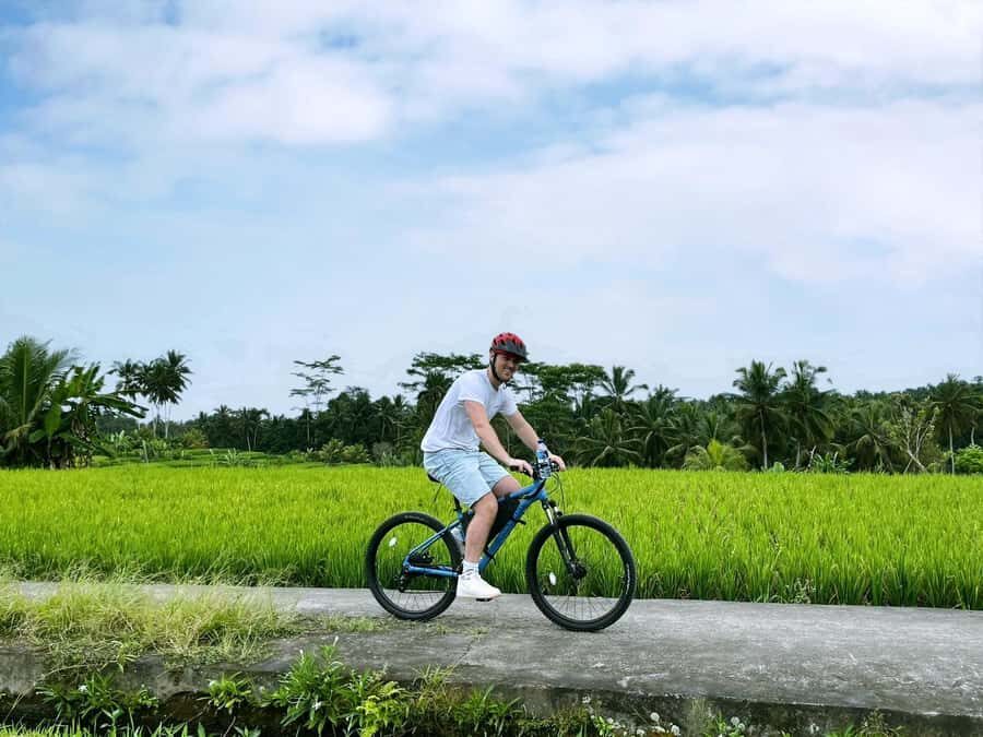 Bali: Electric Bike Cycle Tour through Rice Terrace - Why This Tour Offers Great Value