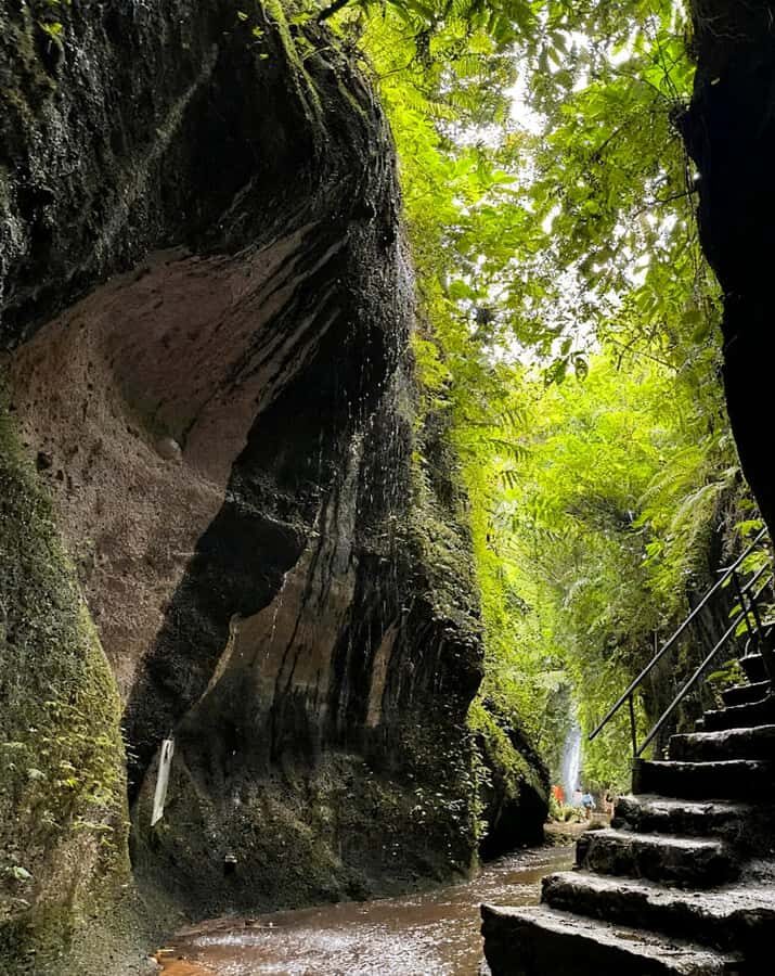 Bali Epics Journey Waterfalls Tracking Tour - The Itinerary: How the Day Unfolds