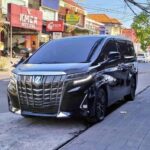 Bali: Exclusive VIP & Fully Customizable Private Luxury Trip - Price and Value