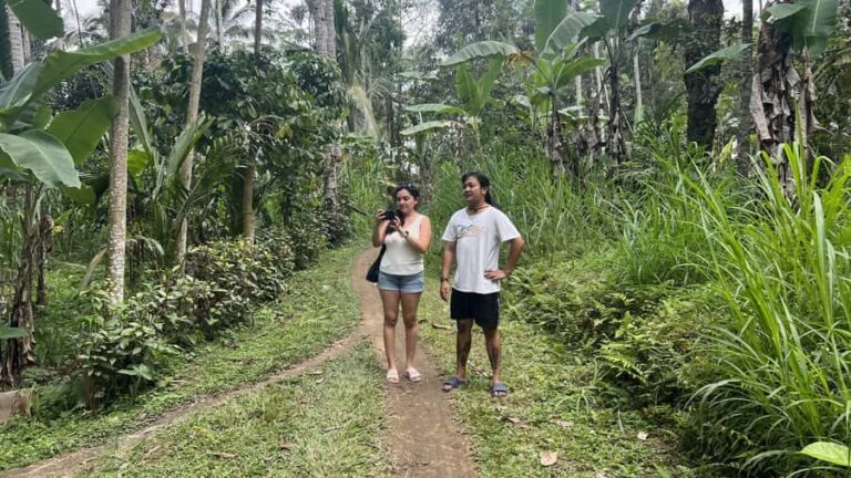 Bali: Explore the Hidden Trails of Taro Village - Value and Practical Considerations