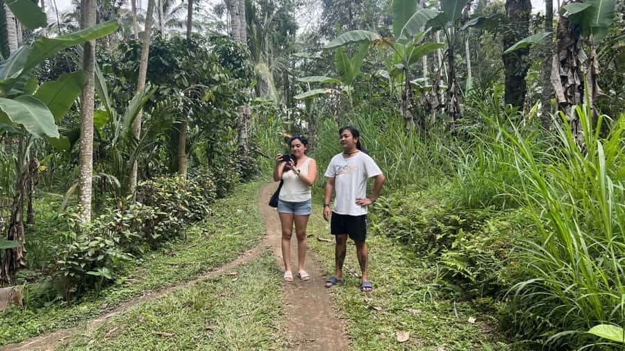 Bali: Explore the Hidden Trails of Taro Village - Value and Practical Considerations