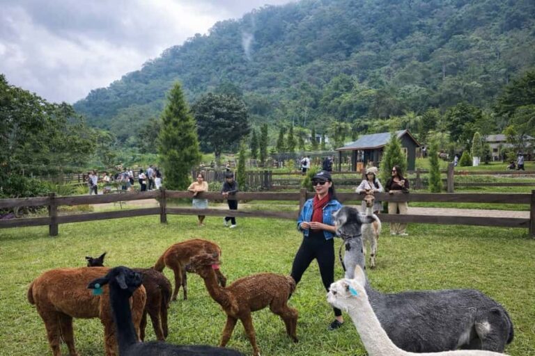 Bali: Farm House Pancasari & Strawberry Picking Tour - Key Points