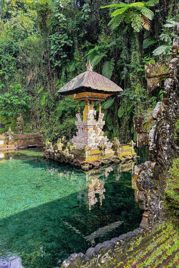 Bali: Fireflies Night, Temple, Waterfall & Rice Terrace - What to Expect: A Day of Natural and Cultural Wonders