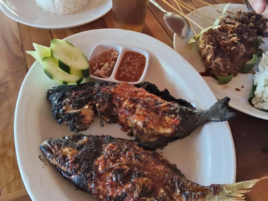 Bali: Fishing Charter Private Boat with Lunch & Hotel Pickup - Practical Aspects and What You Need to Know