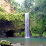 Bali Full Day Tour - Snorkeling at Blue Lagoon and Waterfall Tour - Real-world Experiences and Insights