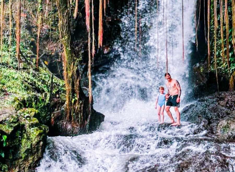 Bali: Graceful Art, Sacred Forest, Serenity and Lotus Bloom - Exploring Bali’s Artistic and Spiritual Heart