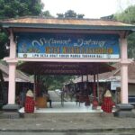 Bali Half Day Cultural and Nature - The Practical Side: What to Expect