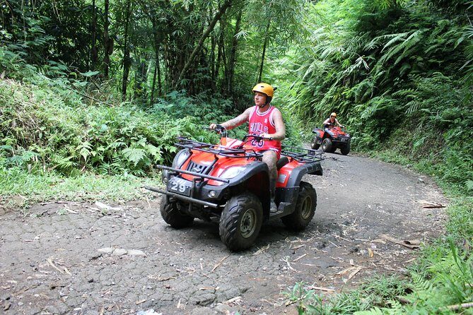 Bali : Half Day Quad Bike Tour with Lunch - Practical Details