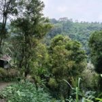 Bali: Hidden Waterfall Hike and Blue Lagoon Snorkeling - Why This Tour Offers Genuine Value