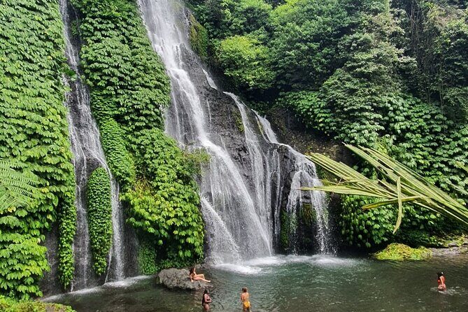 Bali Highlight Customized Full Day Private Tour - Transportation and Timing