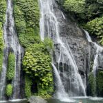 Bali Highlights Shore Excursion from Celukan Bawang Port - Why This Tour Offers Good Value