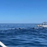 Bali Honeymoon Package 7D6N-Romantic journey - What Makes This Tour Stand Out?