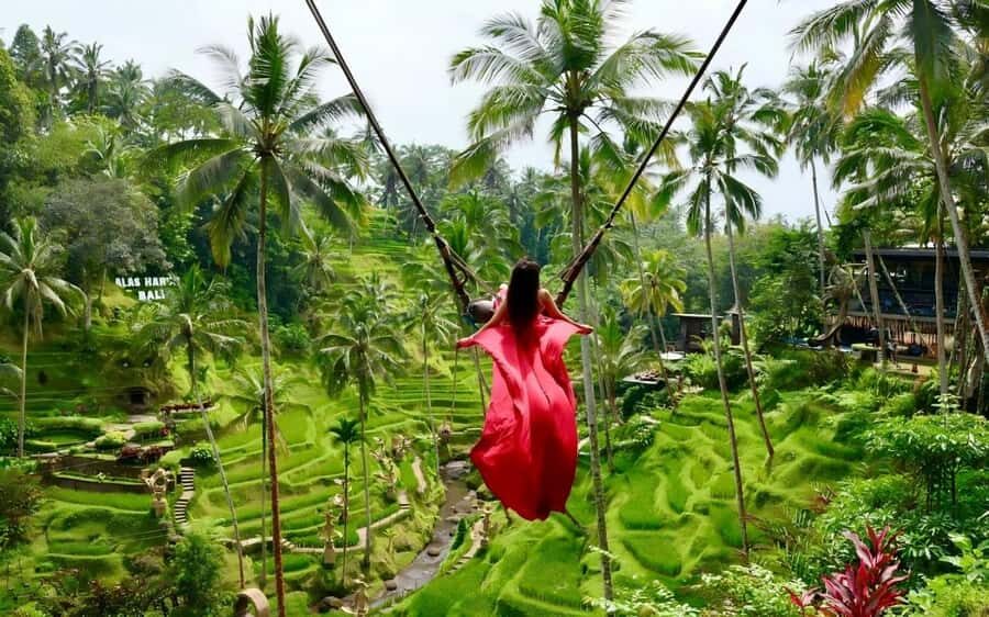 Bali--Honeymoon Romantic Package 5D4N - Why This Tour Offers Great Value