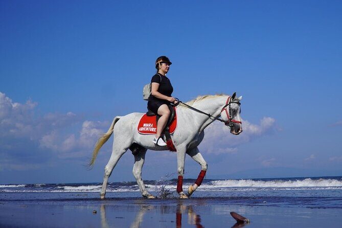 Bali Horse Riding on The Beach Experience - Final Thoughts