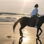Bali: Horse Riding Tour on Seminyak Beach Include Transport - The Practical Details