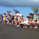 Bali: Horse Riding & Turtle Release Experience at Saba Beach - Visiting the Turtle Conservation Center