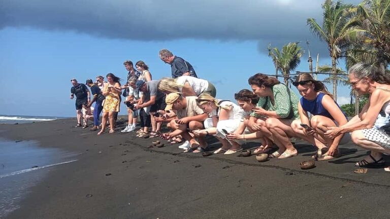 Bali: Horse Riding & Turtle Release Experience at Saba Beach - Visiting the Turtle Conservation Center