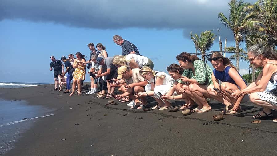 Bali: Horse Riding & Turtle Release Experience at Saba Beach - Visiting the Turtle Conservation Center