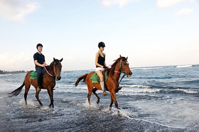 Bali Horse Riding + Waterfall + Rice Terrace + Lunch - Whats Included and What to Keep in Mind