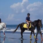 Bali: Horseback Riding Tour with Hotel Transfer - Understanding the Itinerary in Detail