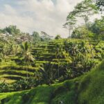 Bali Instagram Private Tour - Who Is This Tour Best For?