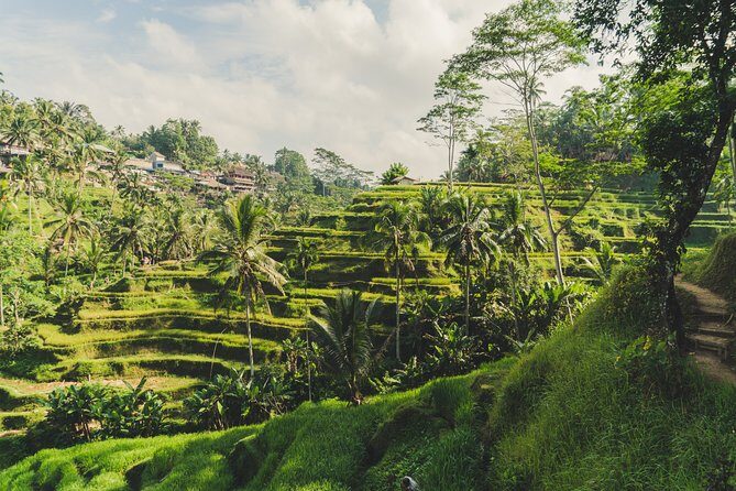 Bali Instagram Private Tour - Who Is This Tour Best For?