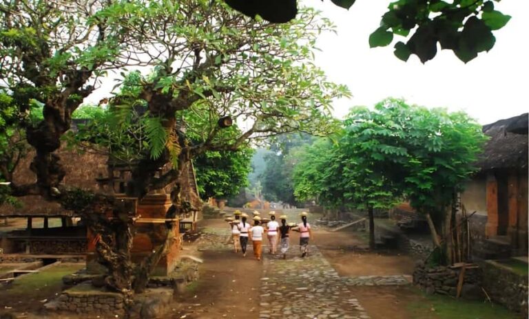 Bali: Jaga Satru Waterfall, Goa Lawah & Sidemen Tour - The Itinerary in Detail: What to Expect