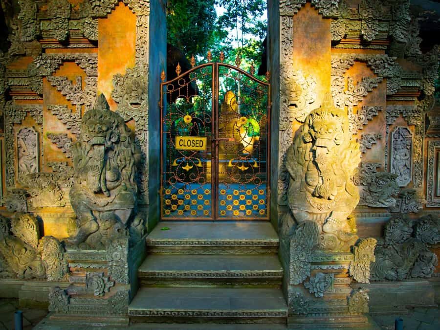 Bali: Jatiluwih Rice Terraces, Sangeh Forest & Coffee Tour - The Practicalities: What You Need to Know