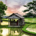 Bali: Jatiluwih Rice Terraces Sunrise guided Walking Tour - What to Know Before You Go