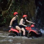 Bali: Jeep and Quad Bike Adventure with Scenic Rice Fields - The Sum Up
