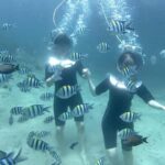 Bali: Jetski Adventure Nusa Dua or Sea Walker Experience - A Typical Day on the Water