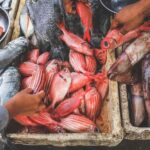 Bali: Jimbaran Seafood Market Tour with Sunset Dinner - Authentic Insights from Reviews