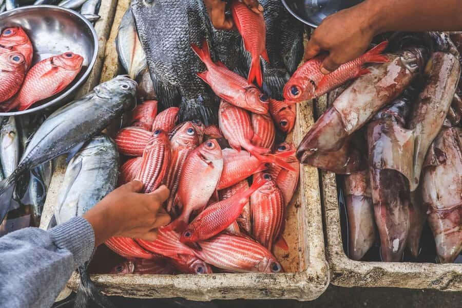 Bali: Jimbaran Seafood Market Tour with Sunset Dinner - Authentic Insights from Reviews