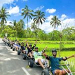 Bali: Jungle Cart Adventure and White Water Rafting Tour - The White Water Rafting: Balancing Excitement with Scenic Calm