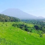 Bali: Kastala Rice Terrace, Tenganan Trekking & Virgin Beach - Who Would Love This Tour?
