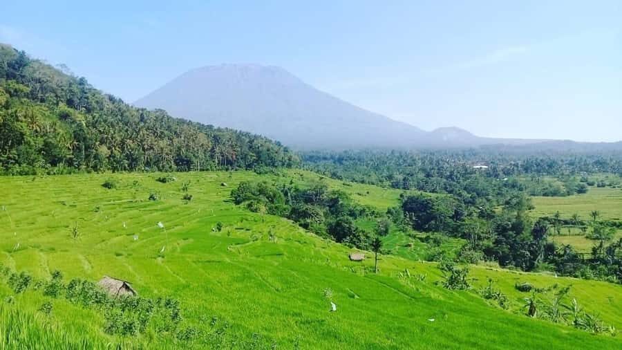 Bali: Kastala Rice Terrace, Tenganan Trekking & Virgin Beach - Who Would Love This Tour?
