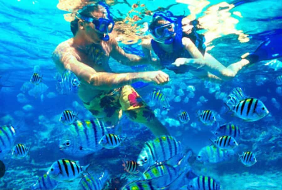 Bali: Labuhan Amuk Snorkeling & Blangsinga Waterfall Tour - Exploring the Itinerary in Detail