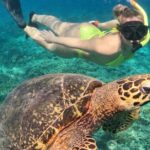 Bali Lovina Dolphin Tour with Sunrice, Snorkeling and Waterfall - Who This Tour Is Best For