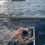 Bali: Lovina Private Meet Dolphins & Snorkeling Coral Reefs - Who Will Love This Tour?