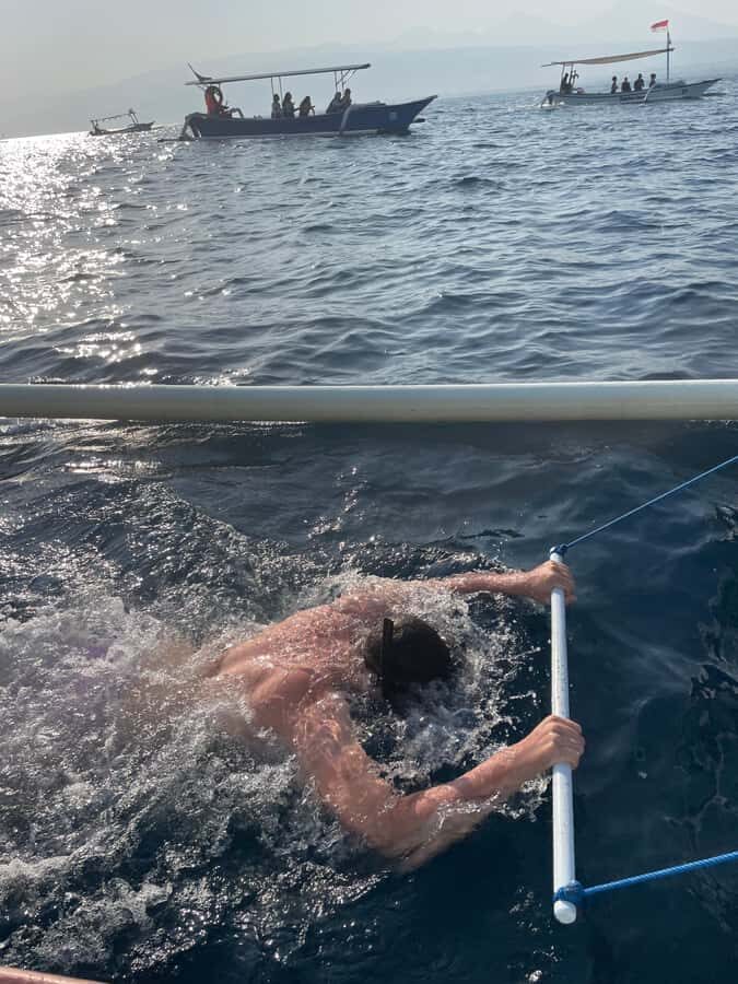 Bali: Lovina Private Meet Dolphins & Snorkeling Coral Reefs - Who Will Love This Tour?