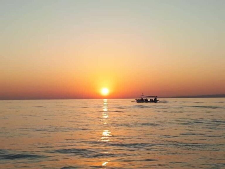 Bali: Lovina Sunrise Dolphin Watching And Snorkeling Tour - What Makes This Tour Stand Out