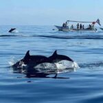 Bali: Lovina Swimming With Dolphine & Snorkeling Tour - What Makes This Tour Stand Out?