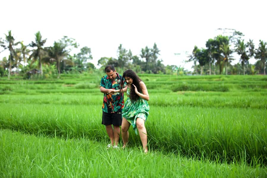Bali Luxuries Tour Around Ubud - Detailed Breakdown of the Itinerary