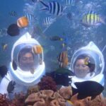 Bali Marine 3 Private Activities with Hotel Pick up - The Experience of Guides and Support