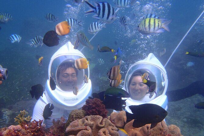 Bali Marine 3 Private Activities with Hotel Pick up - The Experience of Guides and Support