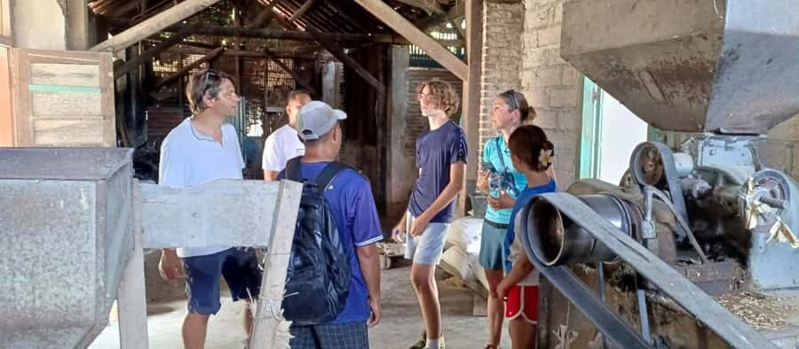 Bali: Mayong Village Trekking Tour - Who Will Love This Tour?