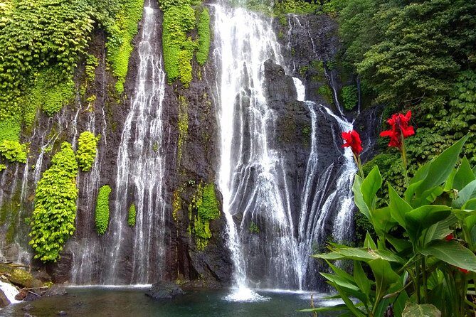 Bali most INSTAGRAMABLE Photo Tour - What to Expect from the Itinerary