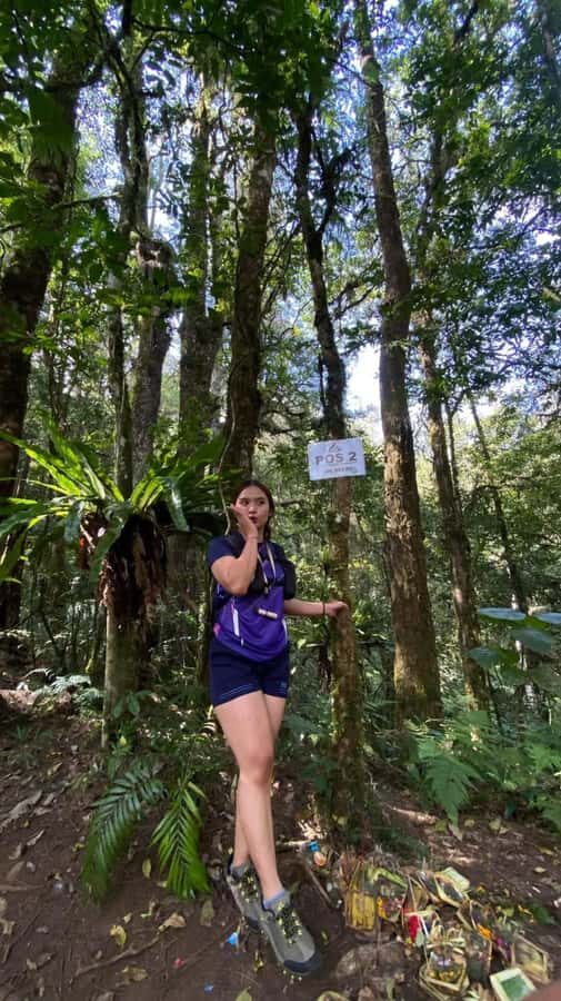Bali: Mount Adeng Guided Hike with Temple Visit - The Experience of the Mount Adeng Hike