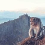 Bali: Mt Batur Sunrise Trekking with Breakfast Atop - What Makes This Tour Stand Out?