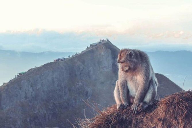 Bali: Mt Batur Sunrise Trekking with Breakfast Atop - What Makes This Tour Stand Out?